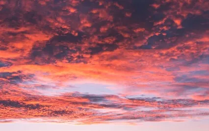 The Power Of Breath: Training Mind- Labeling Inhale & Exhale