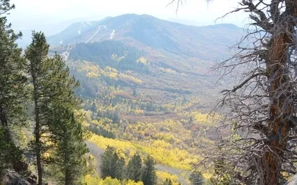 The Power Of Breath ~ Owner's Manual For The Soul