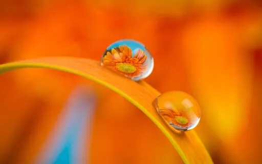 The Power Of Choice: Empower Yourself To Live How You Choose