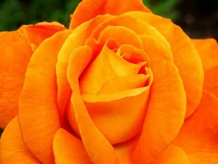 The Power Of Creativity From The Nine Powers Of Women Book