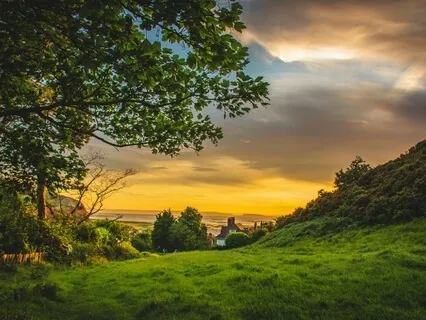 The Power Of Feeling