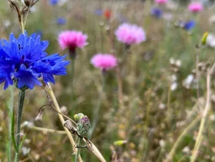 The Power Of Five Minutes - August 13th