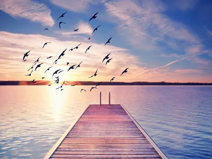 The Power Of Forgiveness - Weekly Energy Boost