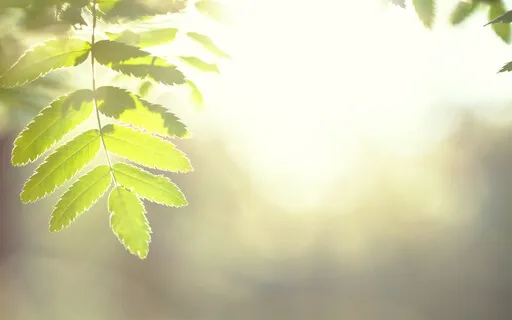 The Power Of Forgiveness