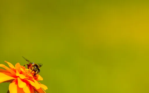 The Power Of Forgiveness Pt 2/3