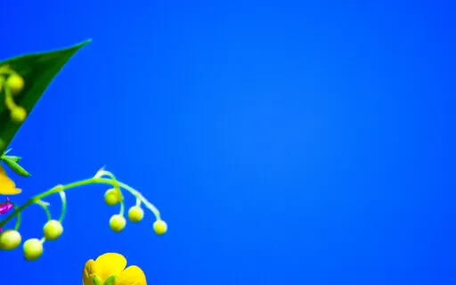 The Power Of Forgiveness Pt 3/3