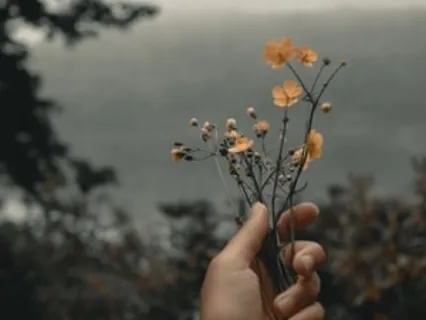 The Power Of Goodwill