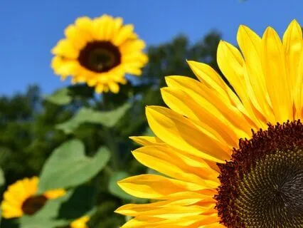 The Power Of Gratitude Explained