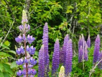 The Power Of Gratitude