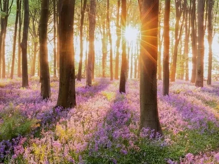 The Power Of "I Don't Know"