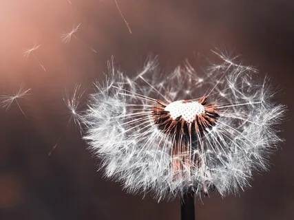 The Power Of Intent: Finding Your Soul's Purpose