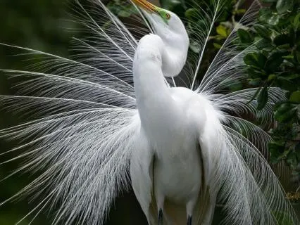 The Power Of Intention: A Sacred Inner Alignment