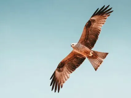 The Power Of Intention