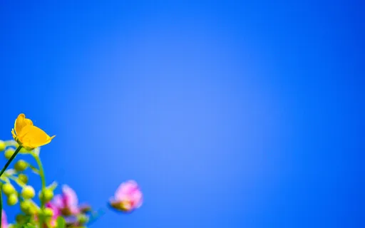 The Power Of Intentions