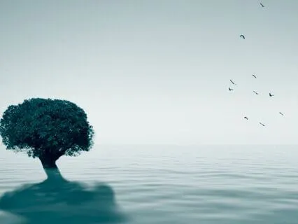 The Power Of Labeling Thoughts For Mindful Presence