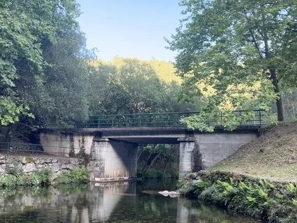 Radiant Harmony: Meditation For Love And Bliss