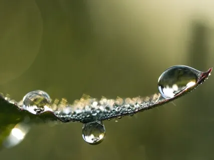 The Power Of Living With Presence 