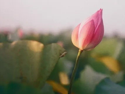 The Power Of Meditation