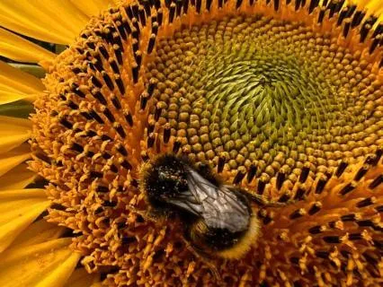 The Power Of Natural Self Love - July 04