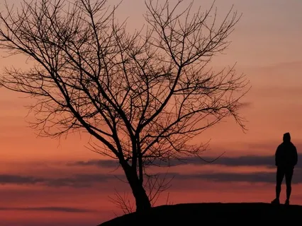 The Power Of Noticing