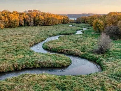 The Power Of Now: Deepen Your Presence Delta 2 Hz