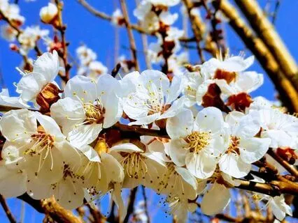 The Power Of Now (LIVE Improv Song)