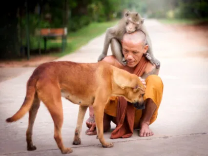 The Power of Patience