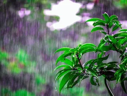 The Power of Peace: Calm Serene Ambience