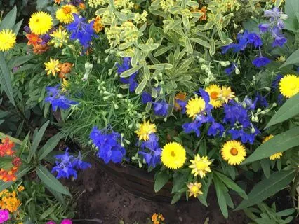 The Power Of Perspective