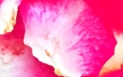 The Power Of Positive Words