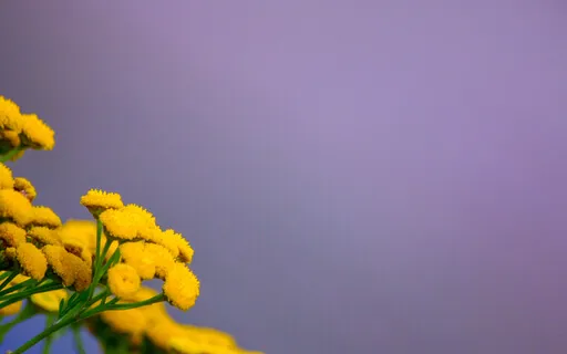 The Power Of Prayer - Calling Forgiveness Forth