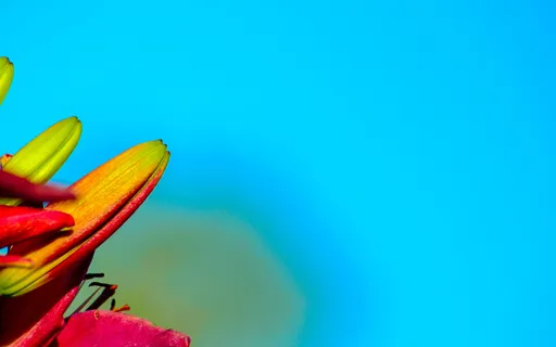 The Power Of Prayer - Calling Forth Divine Peace