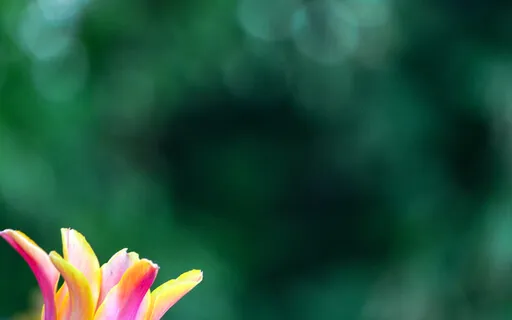 The Power Of Prayer - Eternally Sourced, Fueled, And Funded