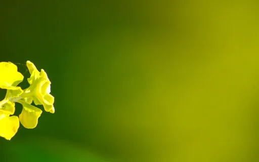 The Power Of Prayer - It Is Happening Now