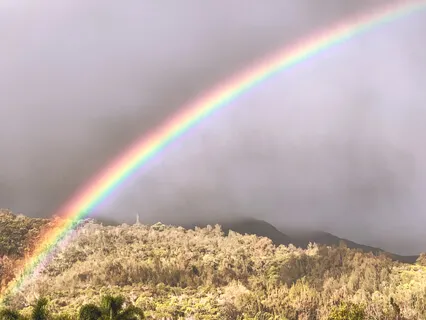 The Power Of Prayers For Peace