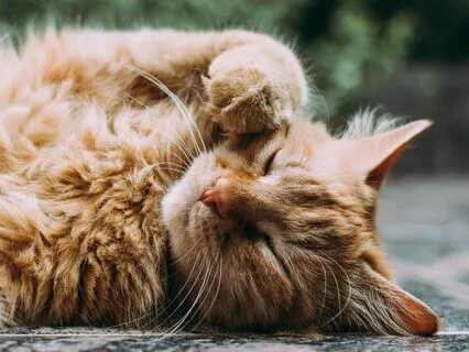 The Power Of Presence: Be Here, Be Calm