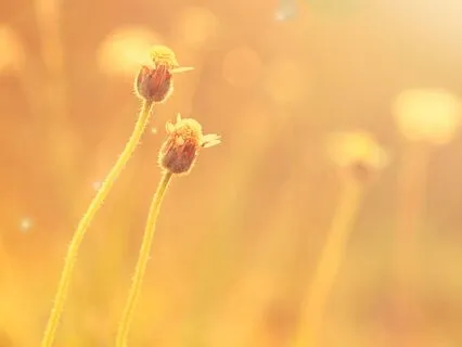 The Power Of Presence (The Doorway To Possibility)