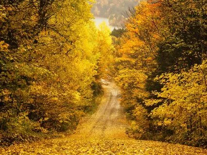 The Power of Purpose