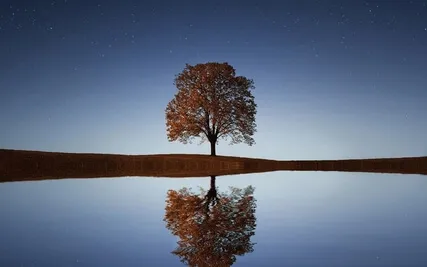 The Power Of Reflection