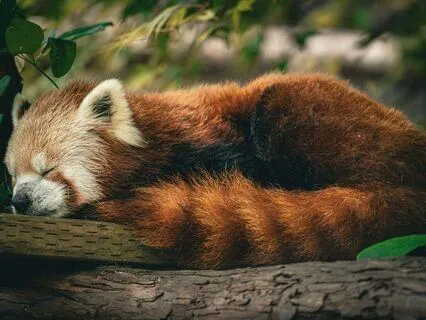 The Power Of Rest: Healing Through Stillness