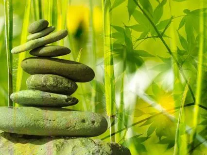 The Power Of Self-Healing