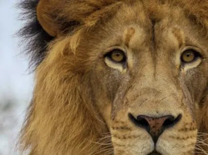 The Power Of Self-Love