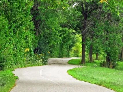 The Power Of Stillness: Ground Your Energy | 528 Hz