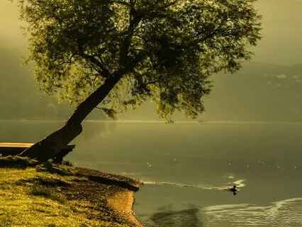 The Power Of Stillness