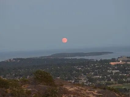 The Power Of Surrender