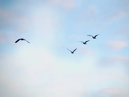 The Power Of Synchronicities