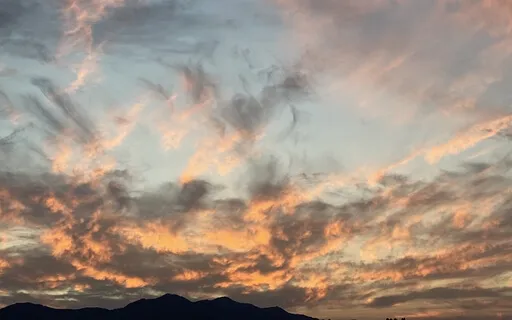 The Power Of The Heart