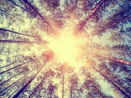 Talk: Intro To The Power Of The Heart