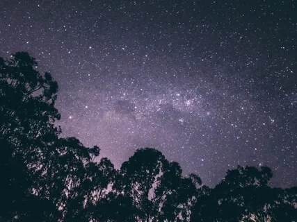 The Power Of The Mind