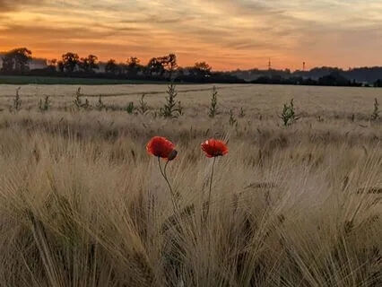 The Power Of The Pause: Yoga Nidra For A Busy Life